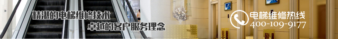 全產(chǎn)業(yè)鏈優(yōu)勢(shì)
